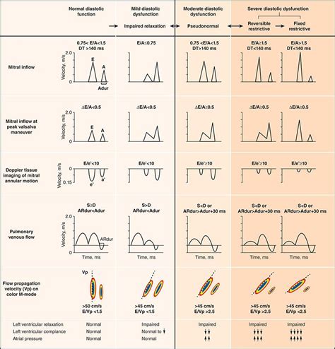 stages of diastolic dysfunction